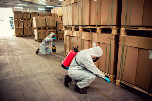Pest Prevention Services in Harbor Hills, OH