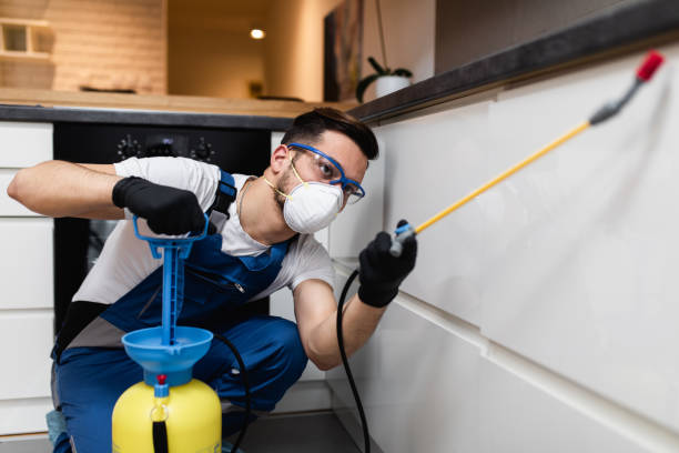 Best Affordable Pest Control Services  in Harbor Hills, OH