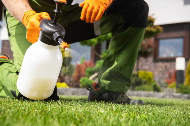 Best Rodent Control Near Me  in Harbor Hills, OH