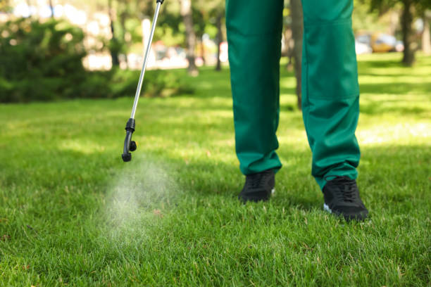 Best Bird Control  in Harbor Hills, OH