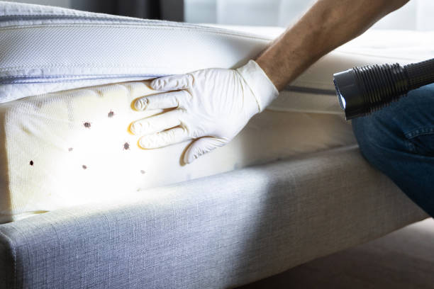 Best Local Pest Control Services  in Harbor Hills, OH