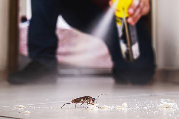 Best Affordable Pest Control Services  in Harbor Hills, OH