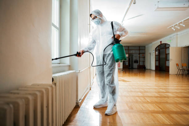 Best Wasp Removal Services  in Harbor Hills, OH