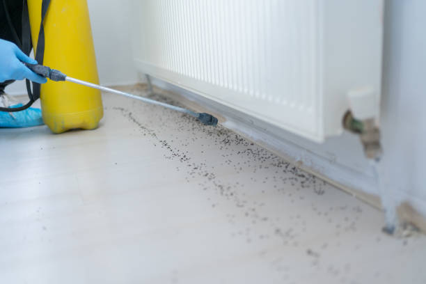 Harbor Hills, OH Pest Control Company